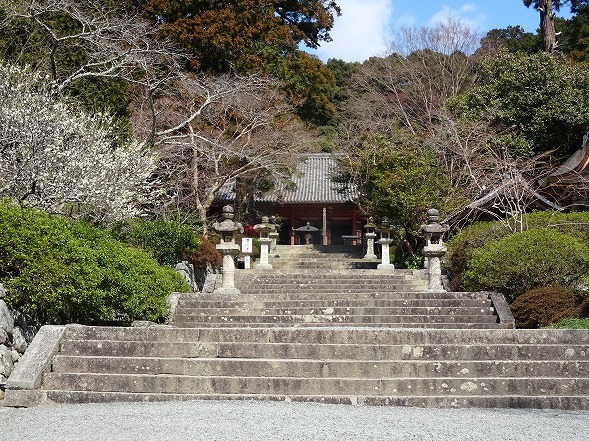 b0299042_14215172.jpg