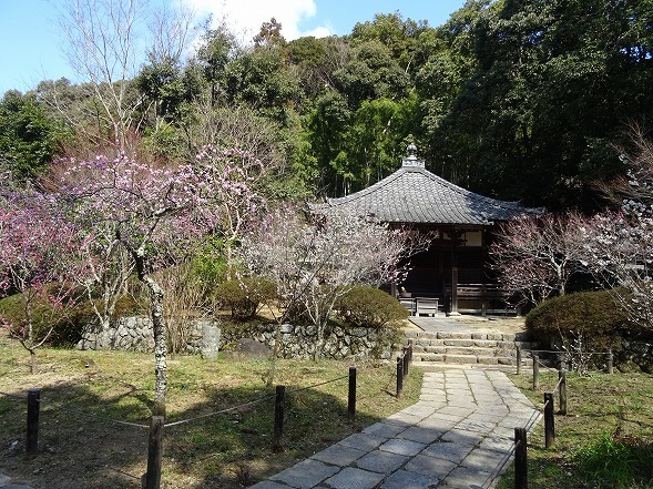 b0299042_14221377.jpg