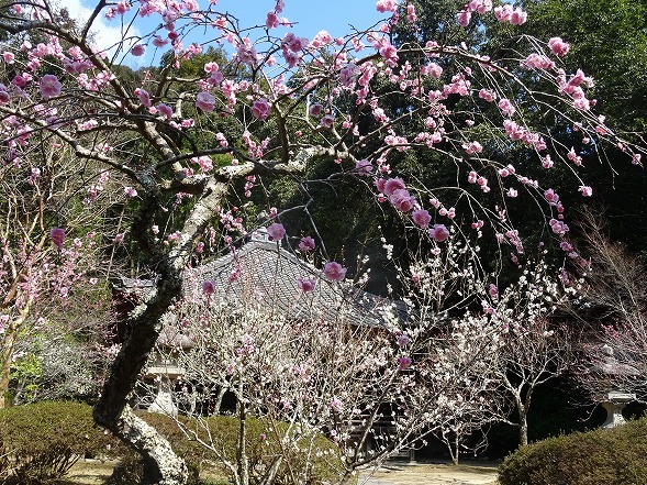 b0299042_14221609.jpg