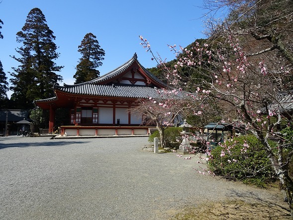 b0299042_14224736.jpg