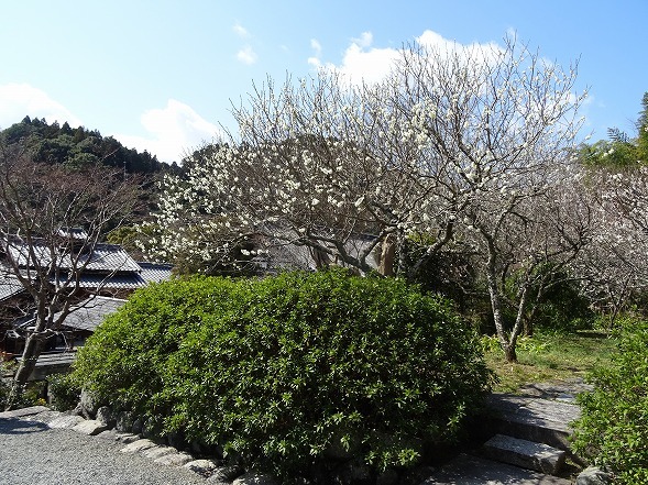 b0299042_14225333.jpg