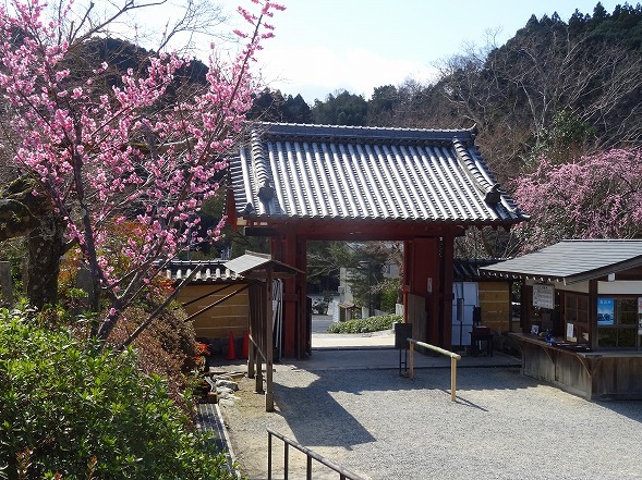 b0299042_14225820.jpg