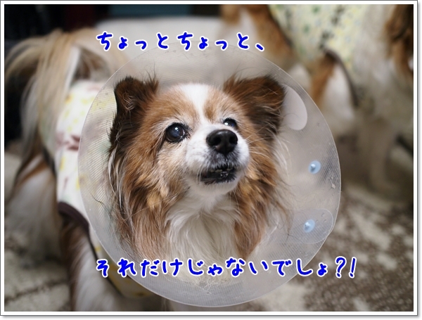 d0013149_01273936.jpg