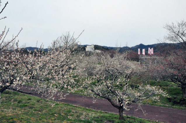 b0214652_17515367.jpg