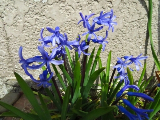 a0018655_14513539.jpg