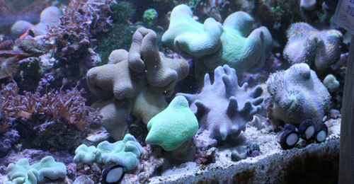 c0165758_21462974.jpg