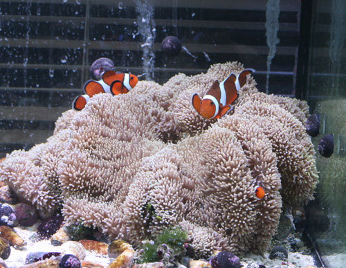 c0165758_21472638.jpg