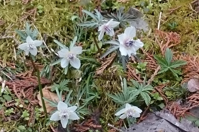 c0328559_16391291.jpg