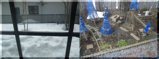 c0024861_1181298.jpg
