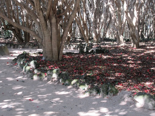 f0113862_21504249.jpg