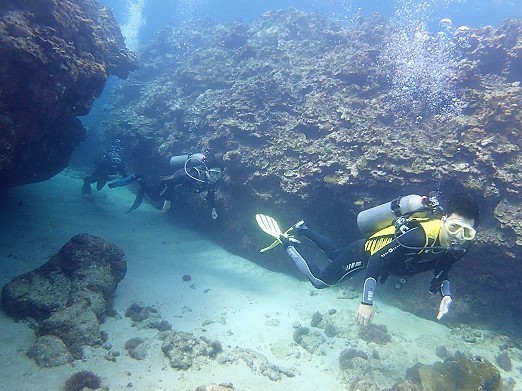 e0132965_13550044.jpg