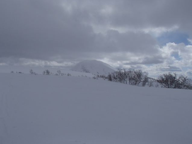f0130376_17565227.jpg