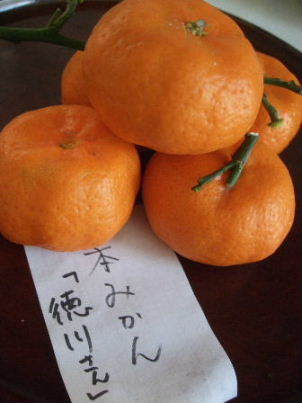 f0039281_15225129.jpg
