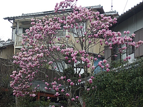 e0086885_20392397.jpg