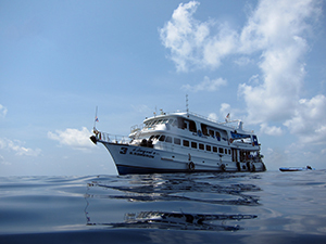 f0144385_20344527.jpg