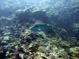 f0144385_20523020.jpg