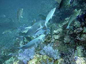 f0144385_20523030.jpg