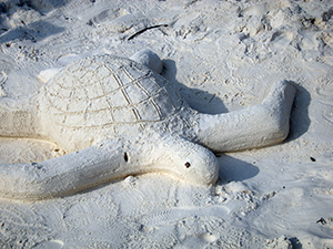 f0144385_20570555.jpg