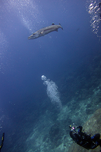 f0144385_21022151.jpg