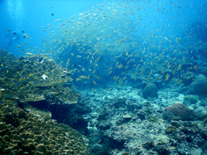f0144385_22111474.jpg