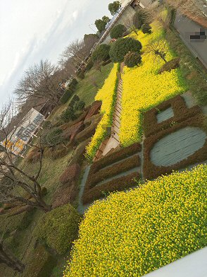 c0014187_20471013.jpg