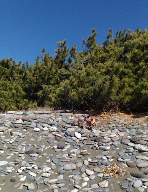 e0123587_21255163.jpg
