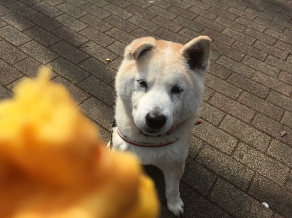 c0123890_20323837.jpeg