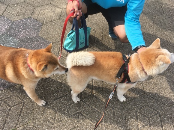 c0123890_20332188.jpeg