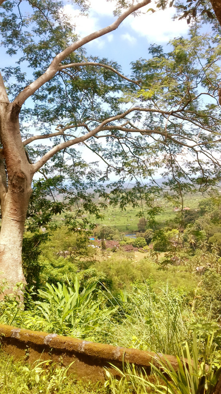 b0161391_21561889.jpg