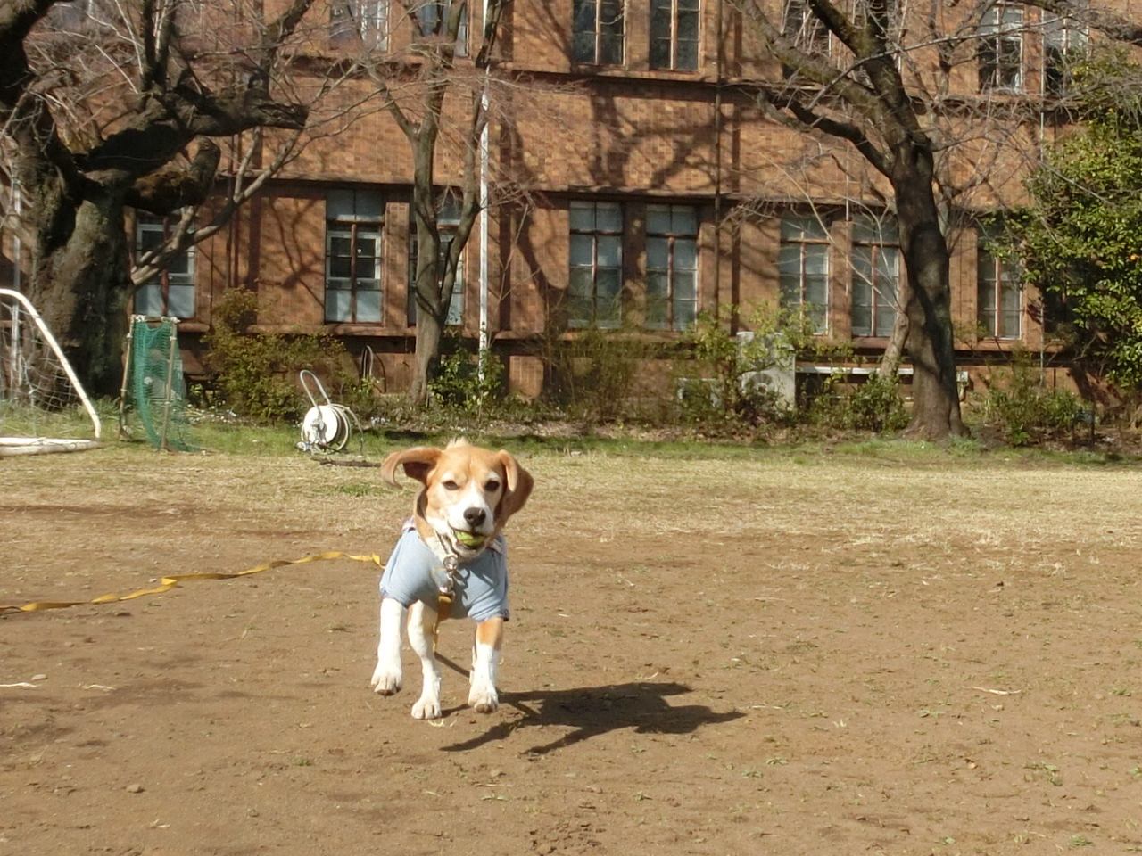 a0319693_8233835.jpg