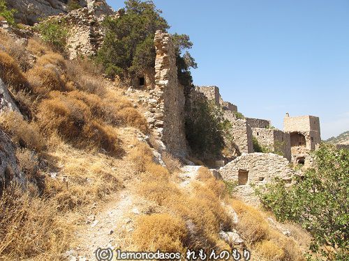 c0010496_22125698.jpg