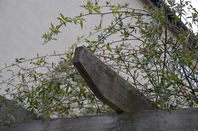 c0124100_23084665.jpg