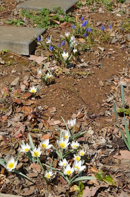 c0124100_23085921.jpg