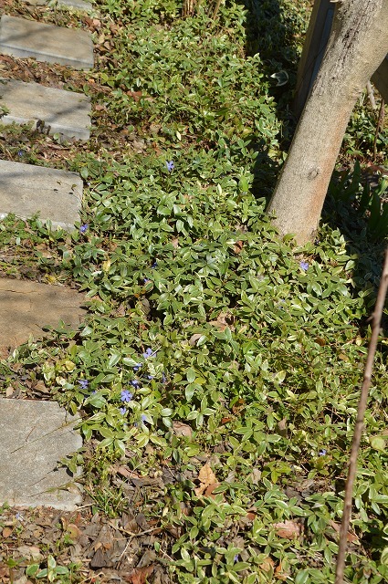 c0124100_23090217.jpg