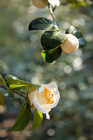 b0014607_21282135.jpg