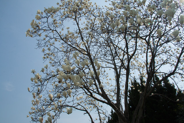 b0014607_21312337.jpg