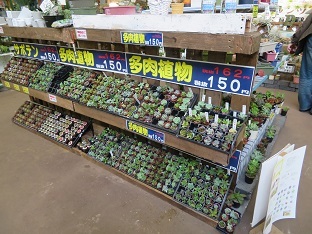 f0325309_16492740.jpg