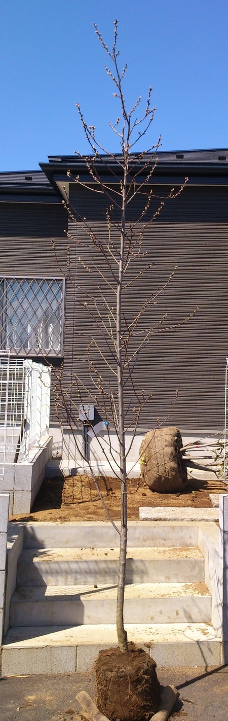 e0202111_23435753.jpg