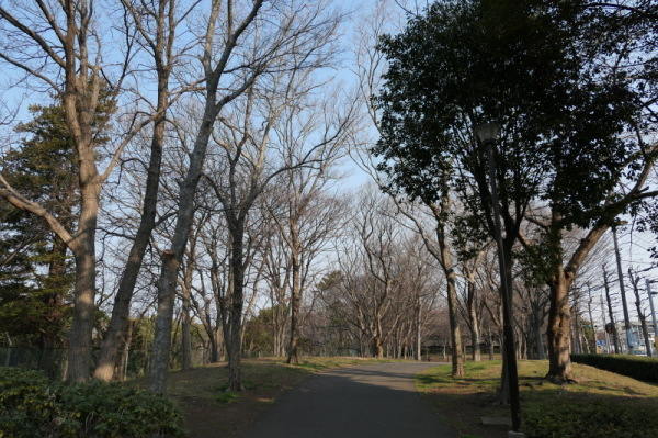 f0369014_10583746.jpg