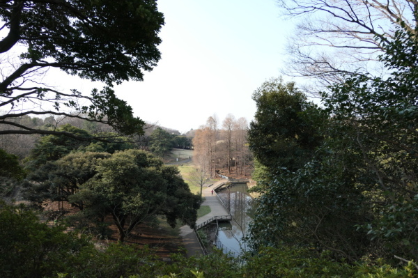 f0369014_11512202.jpg