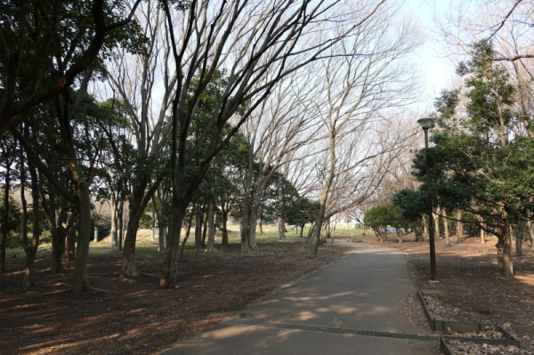 f0369014_11522179.jpg