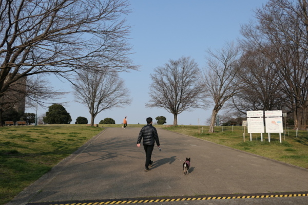 f0369014_11542894.jpg