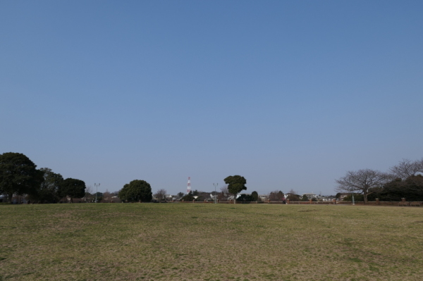 f0369014_11554844.jpg