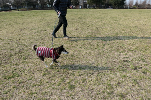 f0369014_11562195.jpg