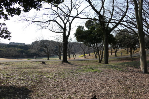f0369014_11590484.jpg