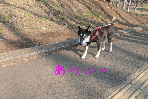 f0369014_12015510.jpg