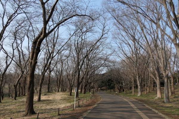 f0369014_12021921.jpg