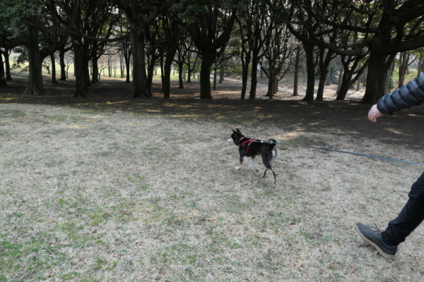 f0369014_12115807.jpg