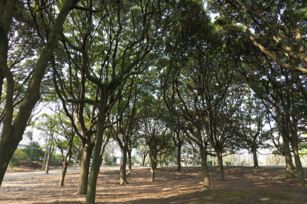 f0369014_12124315.jpg