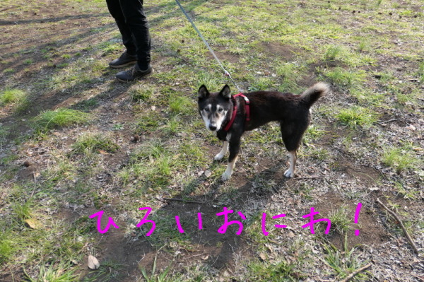 f0369014_12133333.jpg